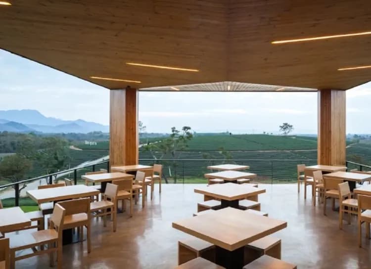 翠峰茶園