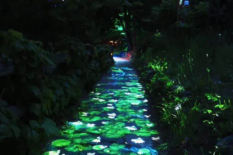 定山溪奇幻燈遊步道(自行前往)