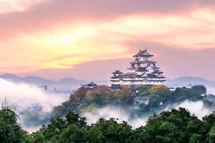 姬路城(不上天守閣；世界文化遺產)