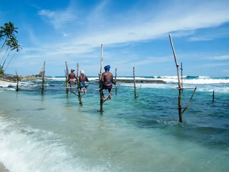 高蹺釣魚 Stilt Fishing-精選必訪文化