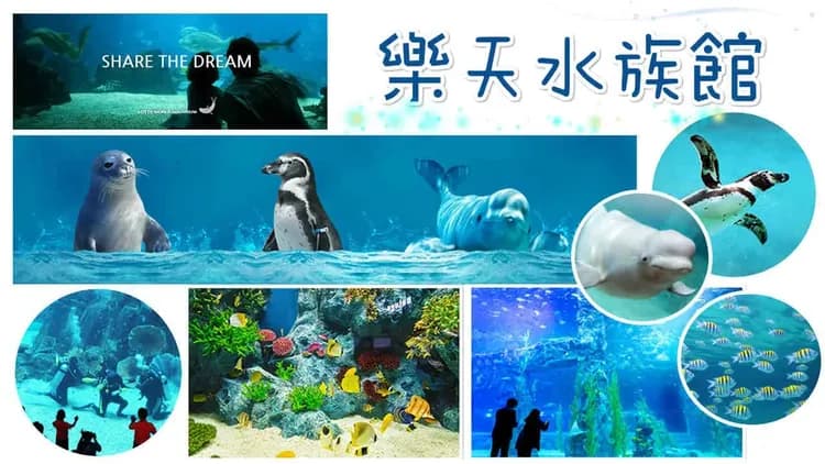 樂天雙主題(樂天世界+水族館)