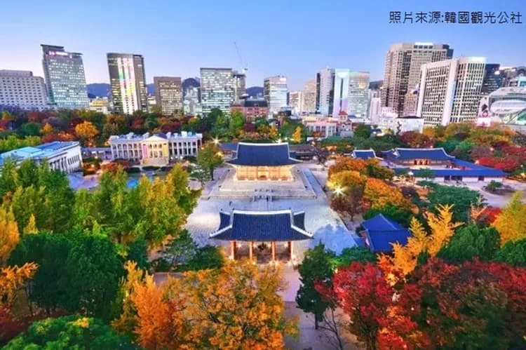 首爾楓之谷(松山/金浦)～樂天世界、COEX水族館、沉浸藝術展覽、乙晚五星飯店五日