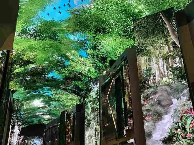 韓國搶好康～樂天世界、景福宮韓服遊、原州金山吊橋、兩晚五星飯店五日-5