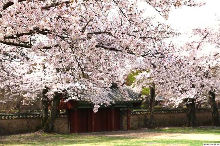 大陵苑史蹟公園