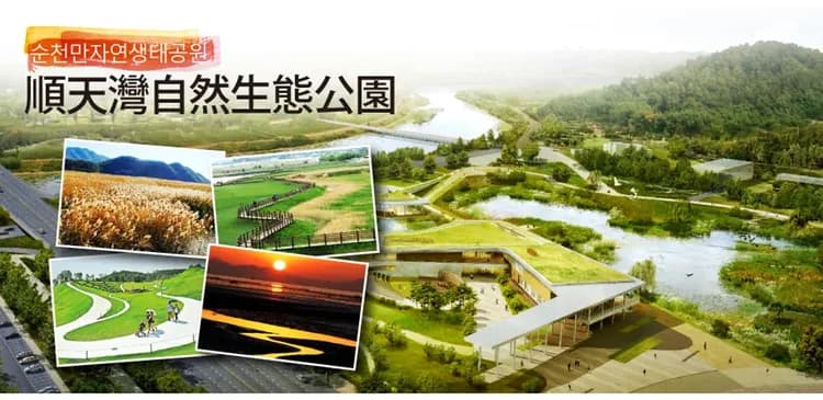 【高雄出發．漫遊釜山麗水雙城５日】順天灣國家園林、長腳蟹吃到飽、膠囊列車、塗鴉秀[含稅簽]-7