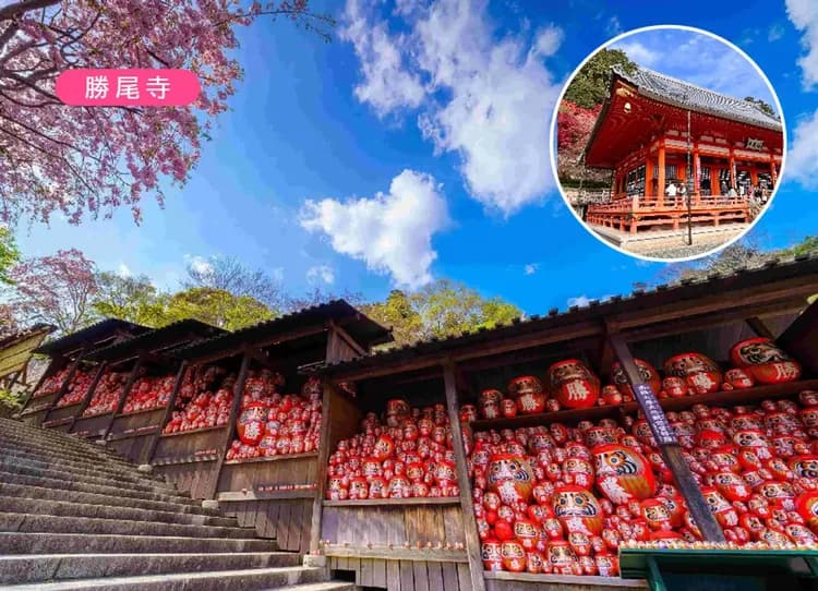 【兒童折萬】北陸關西雙樂園6日.保住大阪萬豪系列.樂高樂園.大阪環球影城.勝尾寺.伊賀忍者村.海鮮龍蝦.伊賀牛-7