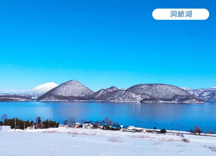 銀色戲雪北海道三溫泉5日.函館夜景纜車.爆萌企鵝遊行.玩雪三合一.札幌白色燈節.洞爺璀璨彩燈.三大螃蟹和牛吃到飽-6