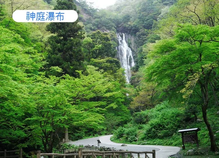 神話的故鄉雙溫泉5日.小豆島.足立美術館.出雲大社.金刀比羅宮.松江城遊船.法式料理和牛.冰淇淋DIY(早去晚回)