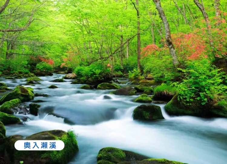 【TTE旅展】東北星空物語四重奏5日.奧入瀨溪谷.採果樂.銀山溫泉.松島遊船.銀河纜車.燒肉吃到飽(花花)