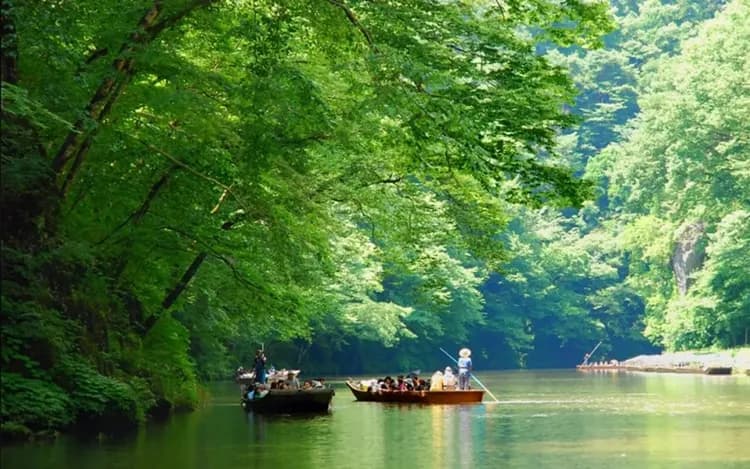 保住東北｜不進免稅店｜奧入瀨溪.十和田湖.銀河星空纜車.中尊寺.猊鼻溪遊船.角館.小岩井農場.AEON｜四晚保住｜仙花-5