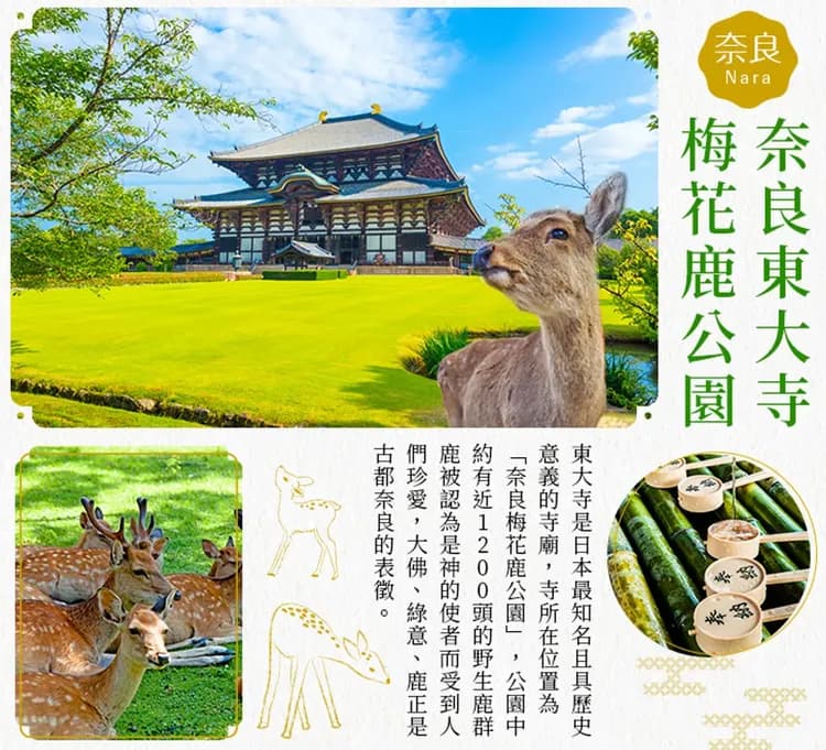 旅展超值｜神戶須磨海洋世界.大阪環球影城.京都清水寺.奈良小鹿公園.燒肉吃到飽五日-5