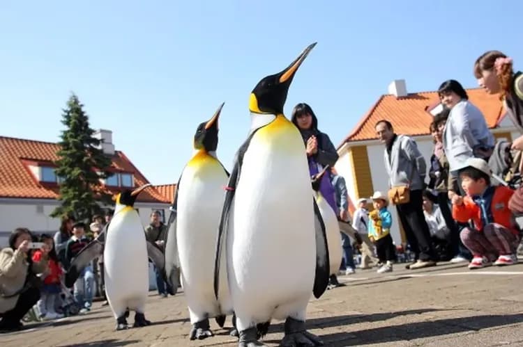 尼克斯海洋公園