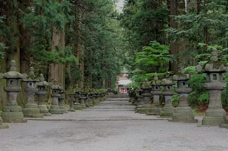 写真提供：やまなし観光推進機構-漫遊富士周邊