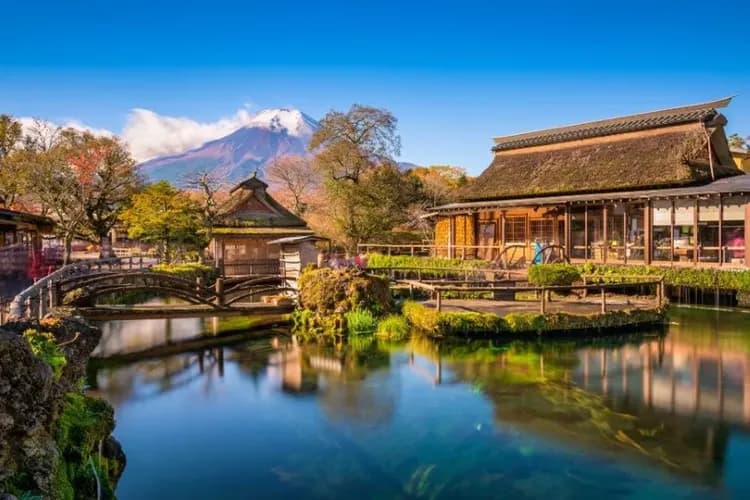 東京玩很大～迪士尼樂園、水蜜桃摩天輪、寶刀鍋麵DIY、長腳蟹溫泉鄉五日