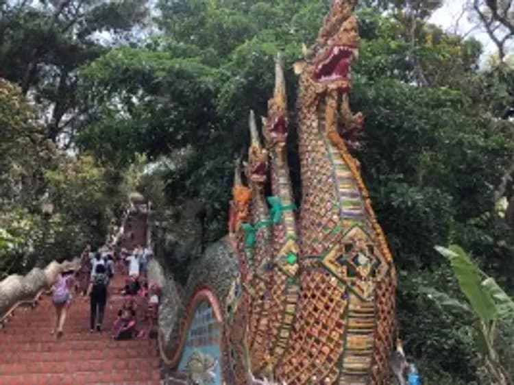 清邁限定GO～大象友善營、南奔復古火車、天使瀑布公園、清邁精品渡假村五日-5