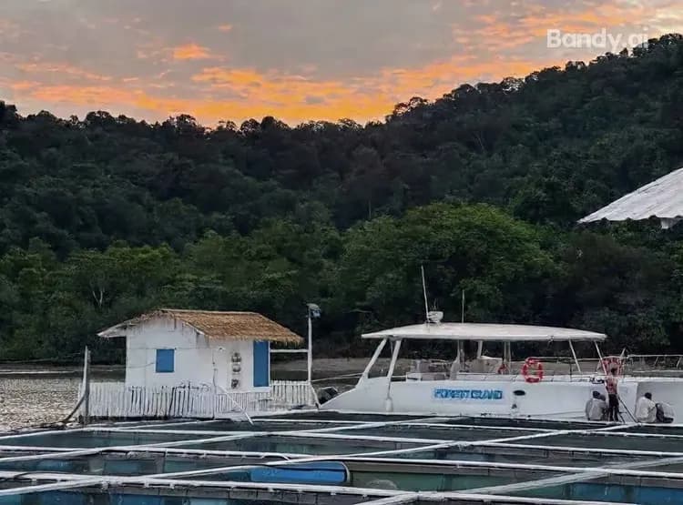 富樂島遊艇派對(檳威大橋+BBQ海鮮餐+浮潛+跳水+卡拉OK)