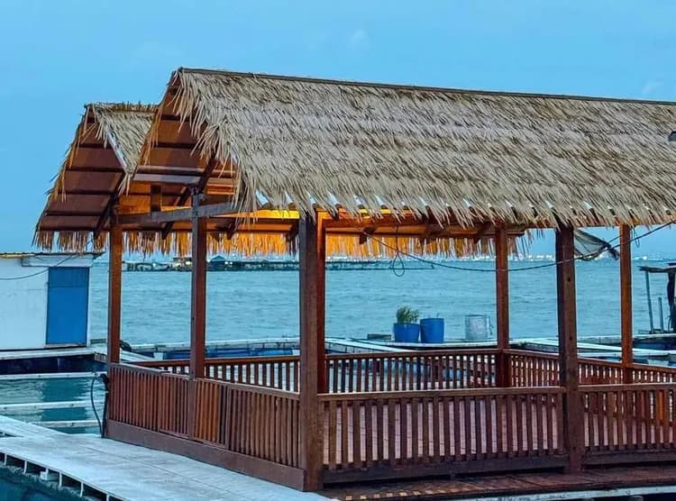 富樂島遊艇派對(檳威大橋+BBQ海鮮餐+浮潛+跳水+卡拉OK)