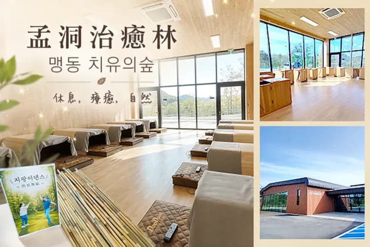 孟洞治癒林(2026年4月開幕新景點)