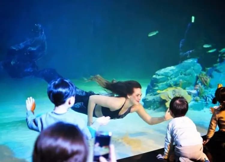 愛來水族館(美人魚表演秀)