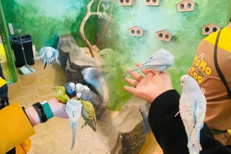 濟州神話世界主題樂園MOMO ZOO(摸摸動物園)-神話世界(門票三項券+摸摸動物園MOMO ZOO)
