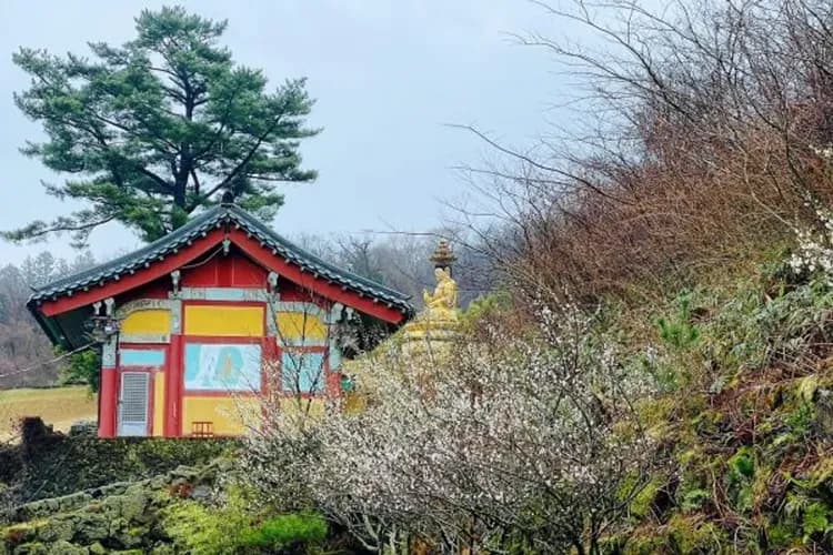 漢拏山觀音寺-南韓之巔～漢拏山觀音寺:最新韓劇拍攝地
