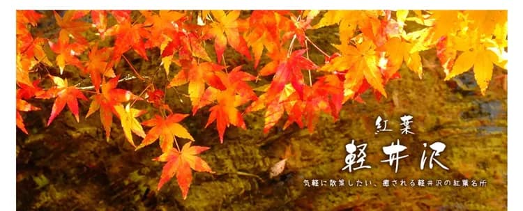 【楓遊關東全覽５日】螃蟹吃到飽、雙溫泉、輕井澤、箱根、河口湖、銀杏林[含稅]-5