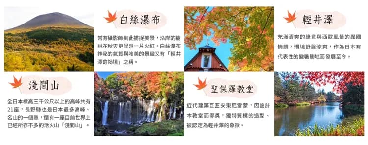 【楓遊關東全覽５日】螃蟹吃到飽、雙溫泉、輕井澤、箱根、河口湖、銀杏林[含稅]-6