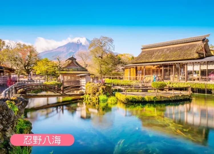 東京歡樂趣五日.迪士尼.富士野生動物園.箱根水族館.蘆之湖海盜船.箱根神社.忍野八海.富士山溫泉-8