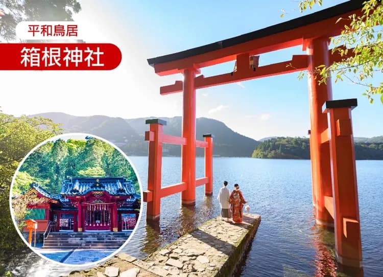 東京歡樂趣五日.迪士尼.富士野生動物園.箱根水族館.蘆之湖海盜船.箱根神社.忍野八海.富士山溫泉-7