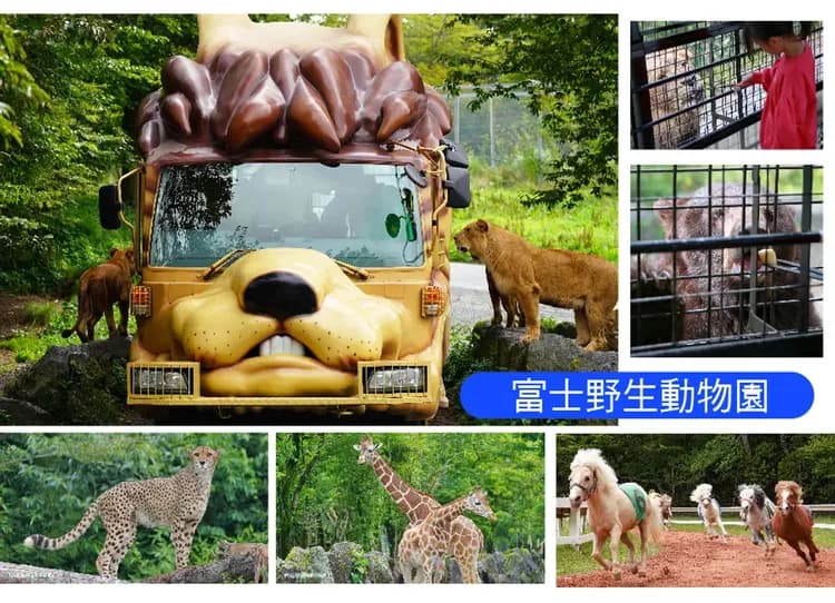 東京歡樂趣五日.迪士尼.富士野生動物園.箱根水族館.蘆之湖海盜船.箱根神社.忍野八海.富士山溫泉-5