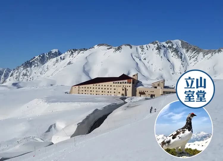【TTE旅展】泰夢幻立山黑部雪牆5日.上高地秘境.白川鄉合掌村.兼六園.採果樂.飛驒牛料理.長島OUTLET購物-5