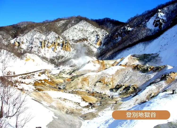 高雄出發雪夢幻北海道四溫泉6日.洞爺湖彩燈.企鵝遊行.函館夜景.藻岩山纜車.白色燈樹節.敘敘苑燒肉.螃蟹美食-9