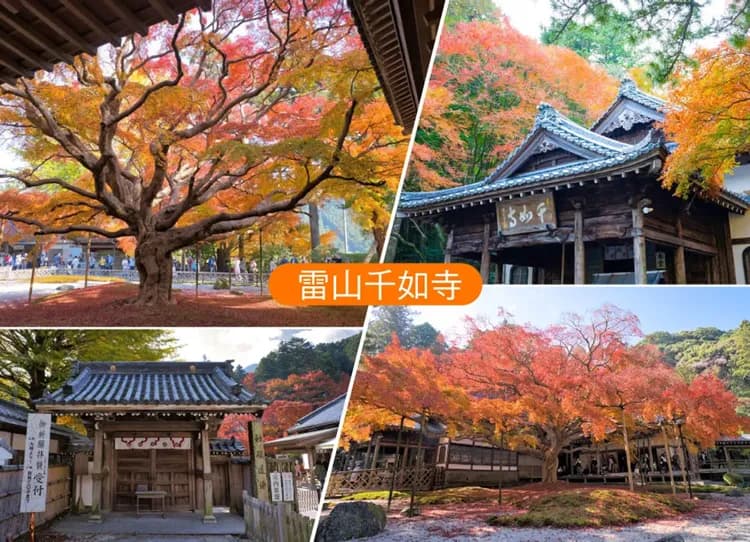 楓遊元氣佐賀大分5日.御船山樂園.雷山千如寺.唐津城.寶満宮竈門神社.耶馬溪.湯布院童話小鎮.別府溫泉鄉(佐賀進大分出)-14