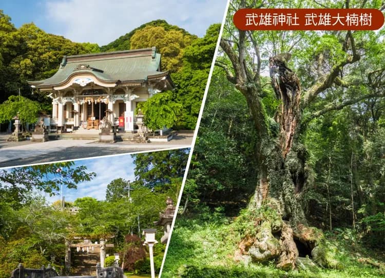 楓遊元氣佐賀大分5日.御船山樂園.雷山千如寺.唐津城.寶満宮竈門神社.耶馬溪.湯布院童話小鎮.別府溫泉鄉(佐賀進大分出)-8