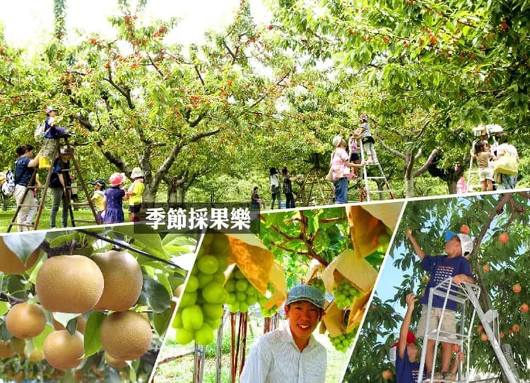 楓采東北百選溫泉5日.銀山溫泉.吾妻天空.五色沼.採果樂.松島遊船.狐狸村.烤魚板體驗.雙溫泉(新瀉進出)-9
