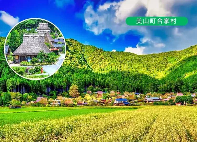【出清一口價】美山合掌村京阪5日.一晚京都.結緣下鴨神社.嵐山竹林小徑.水上巴士.伊勢龍蝦相撲鍋.螃蟹陶板燒(泰越捷)