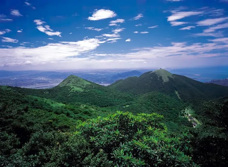 (台灣選手) 2026陽明山馬拉松｜參賽權 ＋1晚精選陽明山住宿，贈回程接駁服務-9