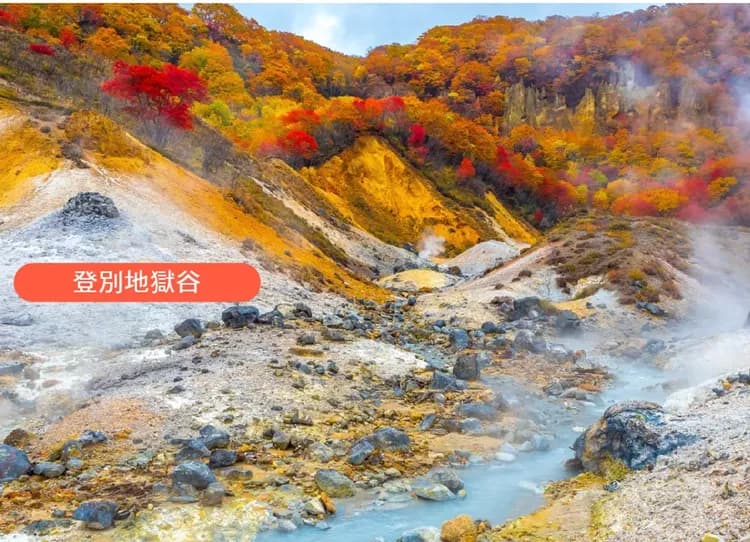 楓迷北海道全覽7日.黑岳空中纜車.紅色珊瑚草&波波草.福原山莊.熱氣球.豐平峽.尼克斯企鵝.冰天使(入住五溫泉)-12