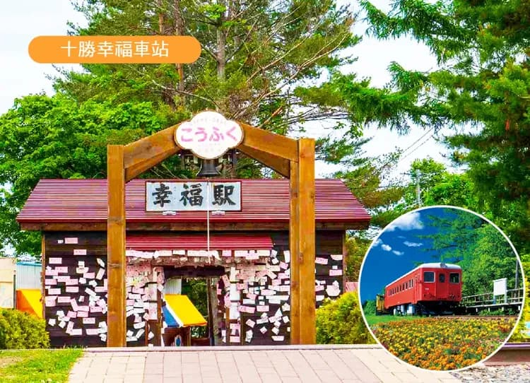 楓迷北海道全覽7日.黑岳空中纜車.紅色珊瑚草&波波草.福原山莊.熱氣球.豐平峽.尼克斯企鵝.冰天使(入住五溫泉)-16