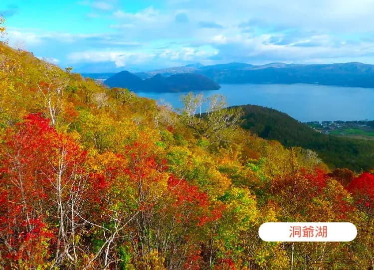 楓迷北海道全覽7日.黑岳空中纜車.紅色珊瑚草&波波草.福原山莊.熱氣球.豐平峽.尼克斯企鵝.冰天使(入住五溫泉)-14