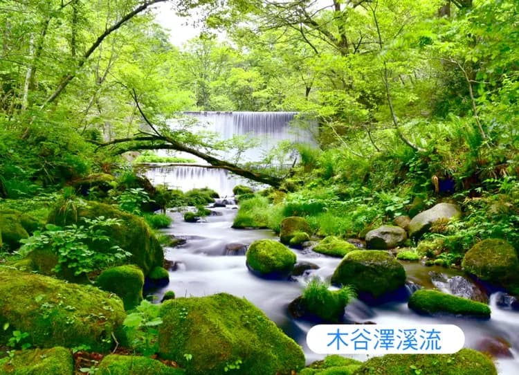 undefined-1