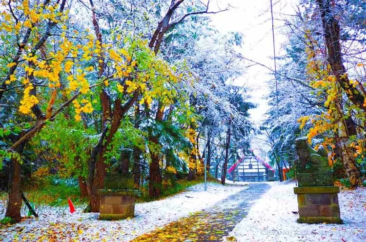 写真提供：JOZANKEI TOURIST ASSOCIATION/禁止轉載-定山溪雪見步道