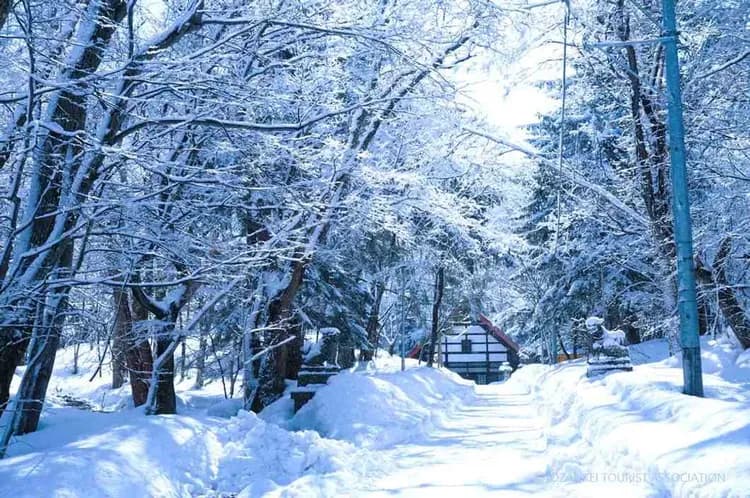 写真提供：JOZANKEI TOURIST ASSOCIATION/禁止轉載-定山溪雪見步道