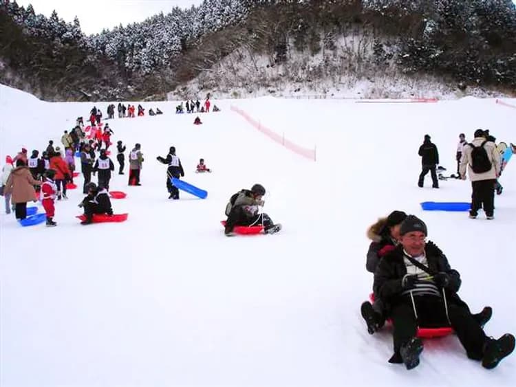 精彩雪上活動(可愛草泥馬)