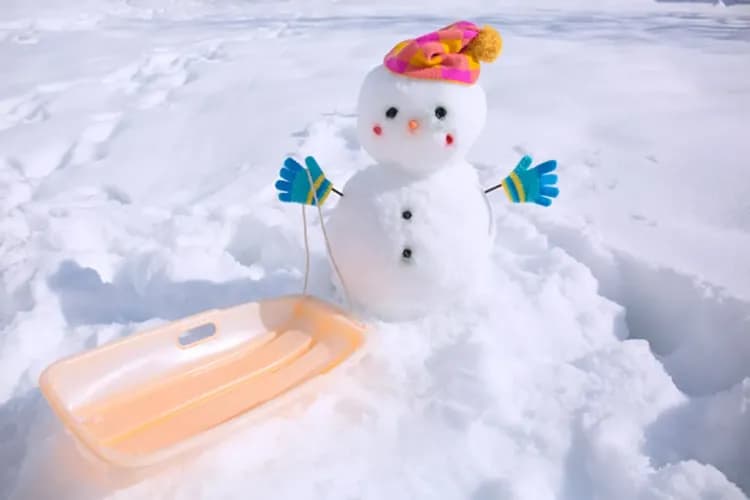 北海道雪戀人～旭山動物園、札幌白色燈節、富良野雪樂園、溫泉和牛三大蟹五日
