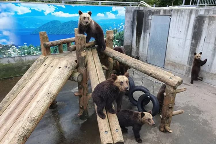 洞爺周邊漫遊