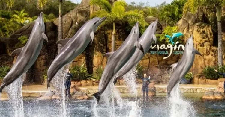 海洋世界主題樂園