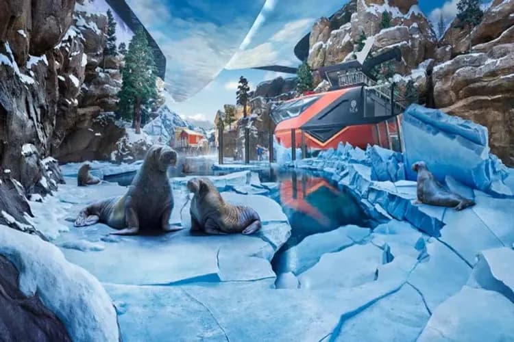阿布達比海洋世界 SeaWorld Abu Dhabi-阿布達比亞斯島