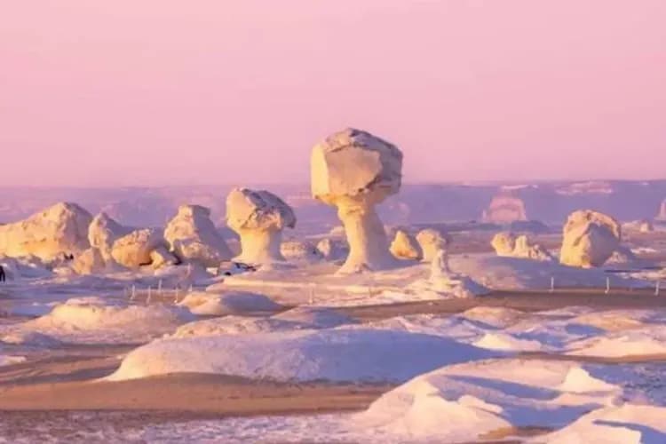 White Desert-黑白沙漠 Black&White Desert
