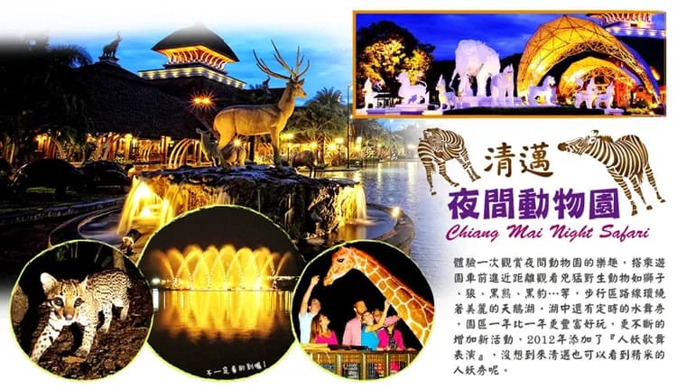 【清邁親子遊５日】夜間動物園、泰山叢林遊、友善大象營、大象便便紙公園、長榮航空[含稅]-5